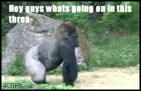 G1X8w.gif