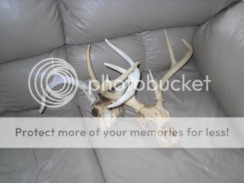 remount066.jpg