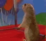 tumblr_l8t5zpPsm81qardkh.gif