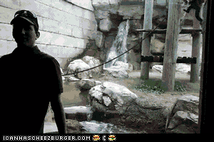 cxTBi.gif