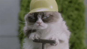 QataSFC.gif