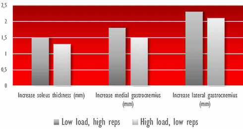 calf-training-strength-training.gif