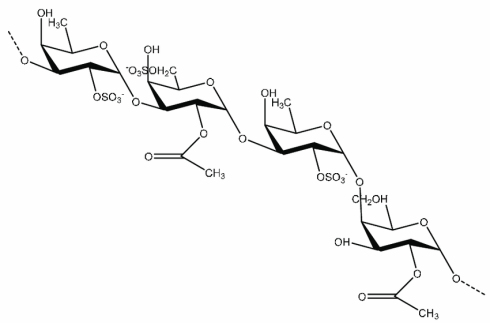 fucoidan-structure.gif