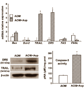 asparaguscolorectalcancer5.gif