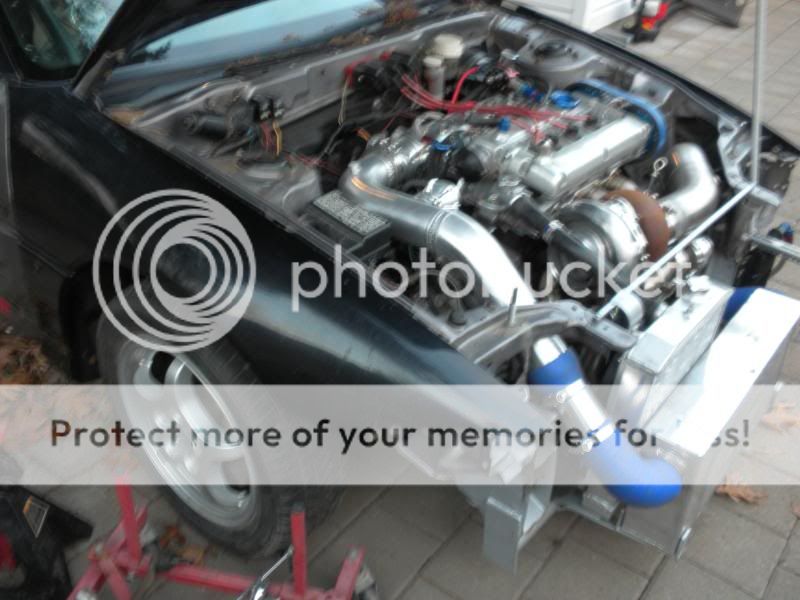 DSCN1271.jpg