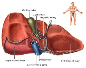 image003-49.png