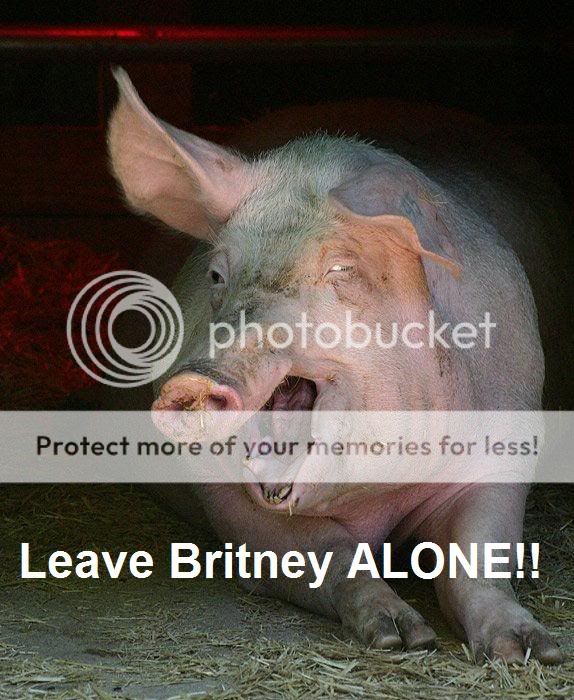 retarded-pig.jpg