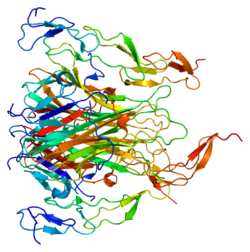 trail-structure.jpg