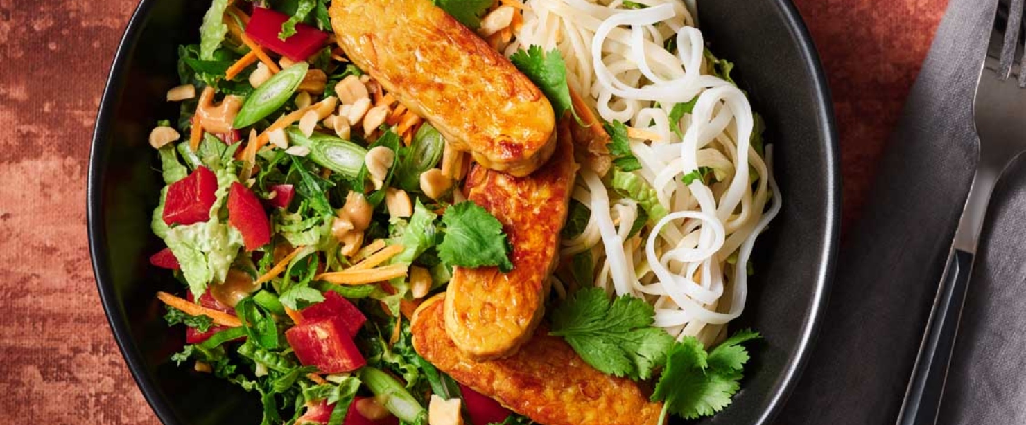 gut-healthy recipes: tempeh