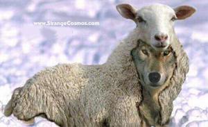 WolfInSheepsClothing.jpg