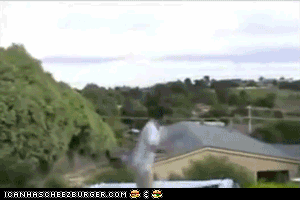 p7OKa.gif