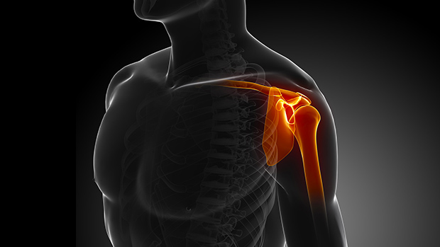 Shoulder