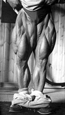 tom_platz_legsfront.jpg