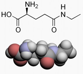 l-theanine.jpg