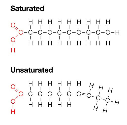 saturated-unsaturated-fats-molecular-config saturated-unsaturated-fats-molecular-config