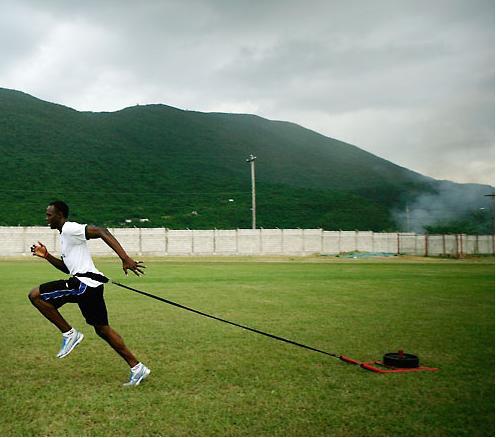 usain sled usain sled