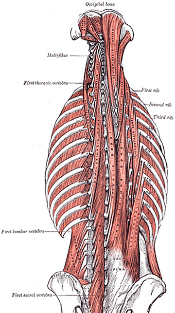 Figure 1 Figure 1