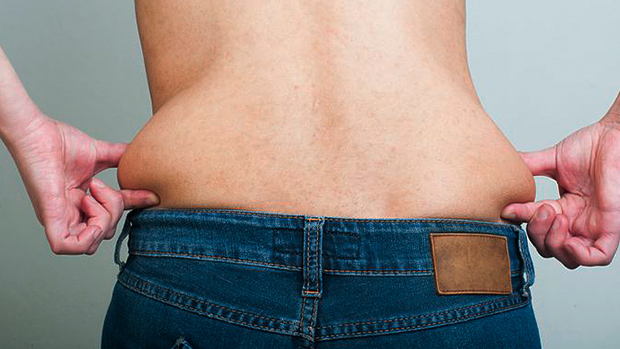 Love Handles Love Handles