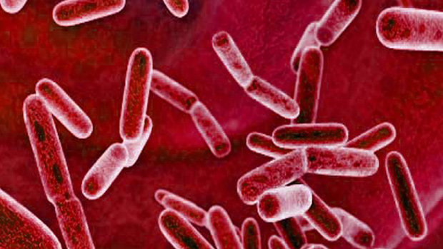 Probiotics Probiotics