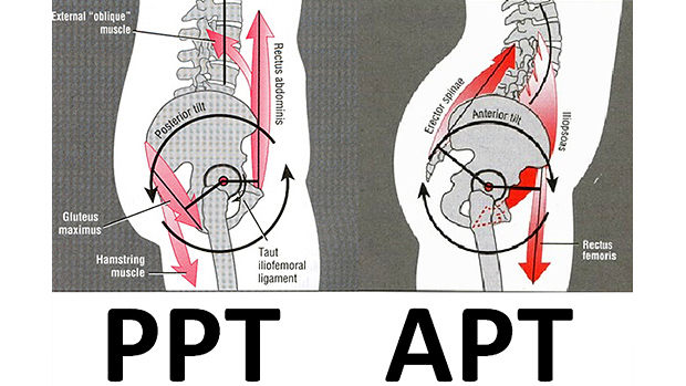 pushup-position pushup-position