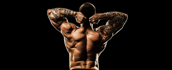 Shuttle-Calories-to-Muscle-Not-Fat Shuttle-Calories-to-Muscle-Not-Fat