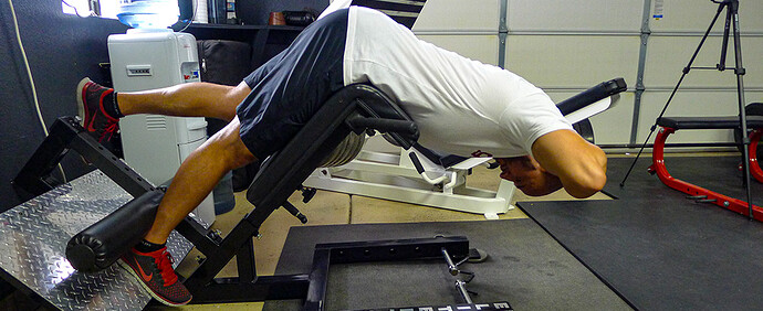 single-leg-prisoner-back-extension-I single-leg-prisoner-back-extension-I