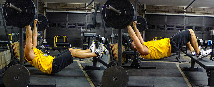 Gliding-Leg-Curl Gliding-Leg-Curl
