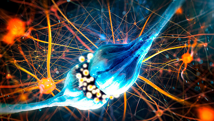 Neurotransmitter Neurotransmitter