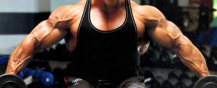 Bodybuilder-Training Bodybuilder-Training