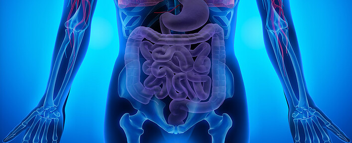 Digestion Digestion