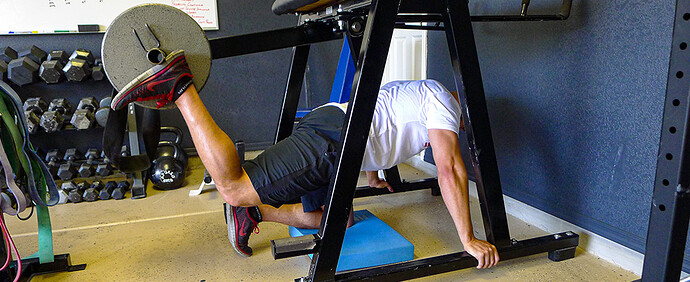 pendulum-quadruped-hip-extension-II pendulum-quadruped-hip-extension-II