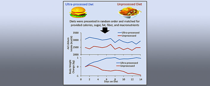 Diet-Info-Graphic Diet-Info-Graphic