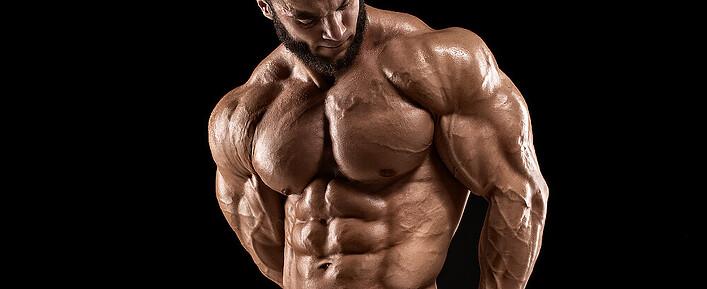 Bodybuilder Bodybuilder