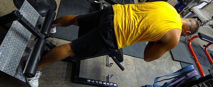 Back-Ext-Glute-Style-2 Back-Ext-Glute-Style-2