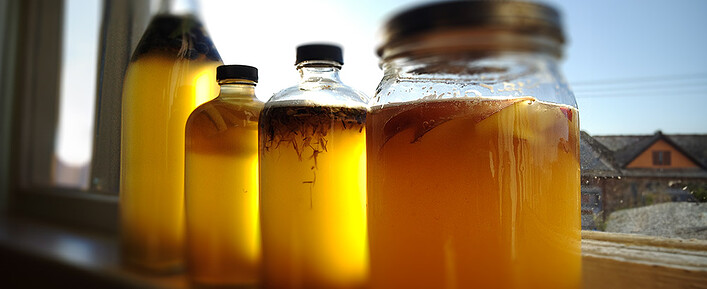 Kombucha Kombucha