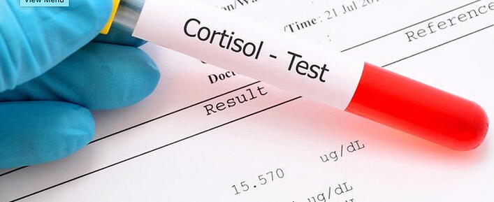 Truth-About-Cortisol Truth-About-Cortisol