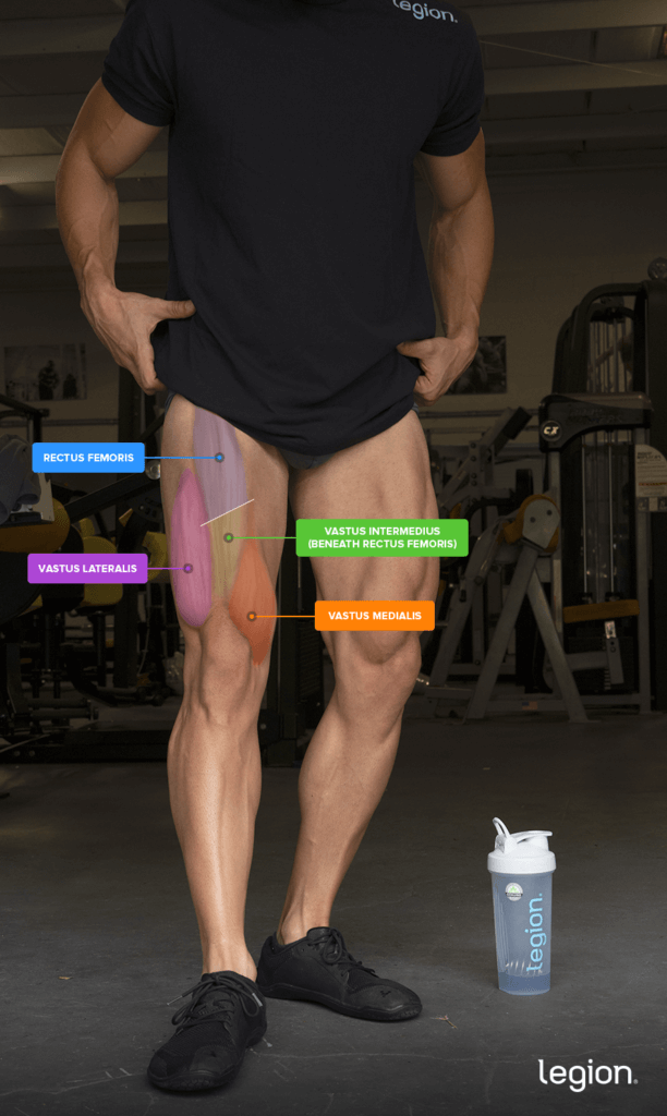 Chris Barakat's Quad anatomy