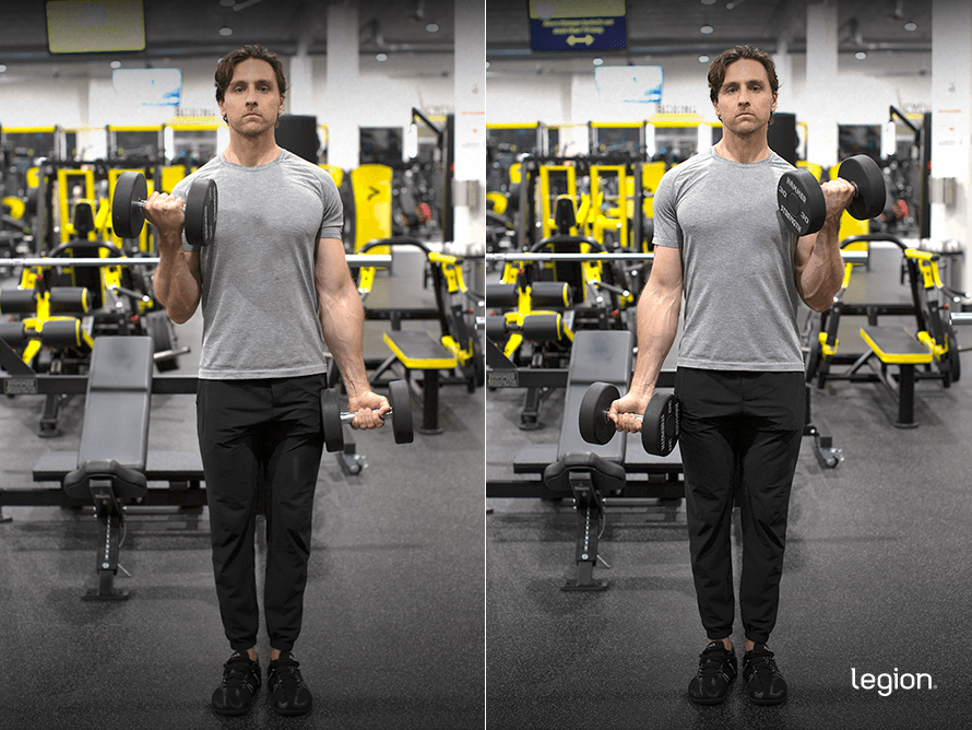 24.PULL-Alternating Dumbbell Curl 24.PULL-Alternating Dumbbell Curl