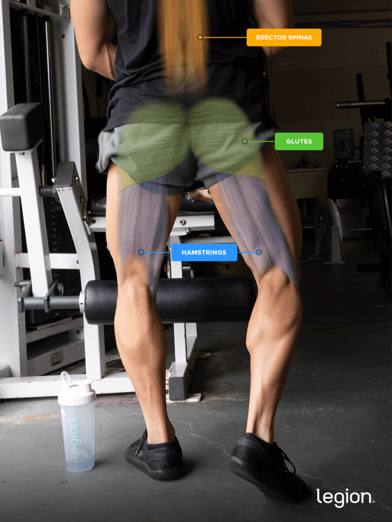 good morning exercise form good morning exercise form