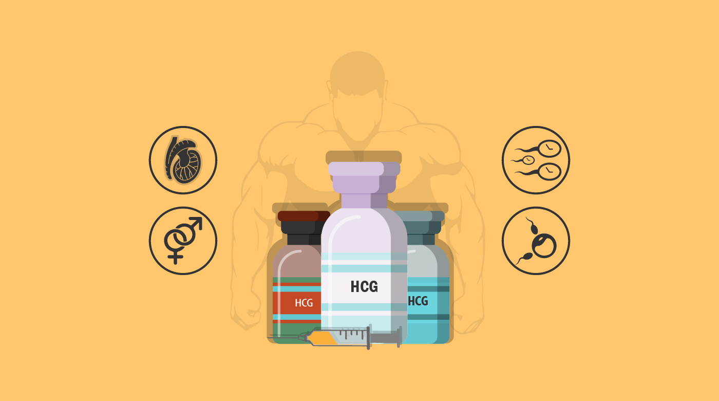 HCG_for_Bodybuilding-01 HCG_for_Bodybuilding-01