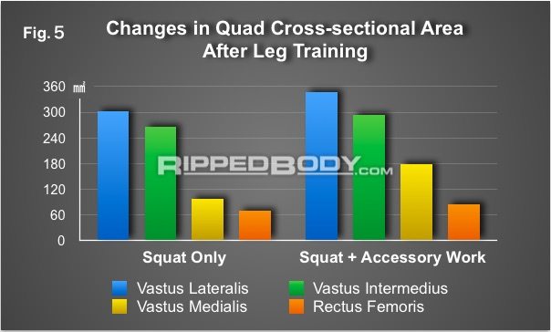 Exercise Selection Fig.5 - Accessory work 5-3 each head quads CICE-CIVE Exercise Selection Fig.5 - Accessory work 5-3 each head quads CICE-CIVE