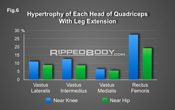 Exercise Selection Fig.6 - Accessory work 6-2 Leg extension rectus femoris Exercise Selection Fig.6 - Accessory work 6-2 Leg extension rectus femoris
