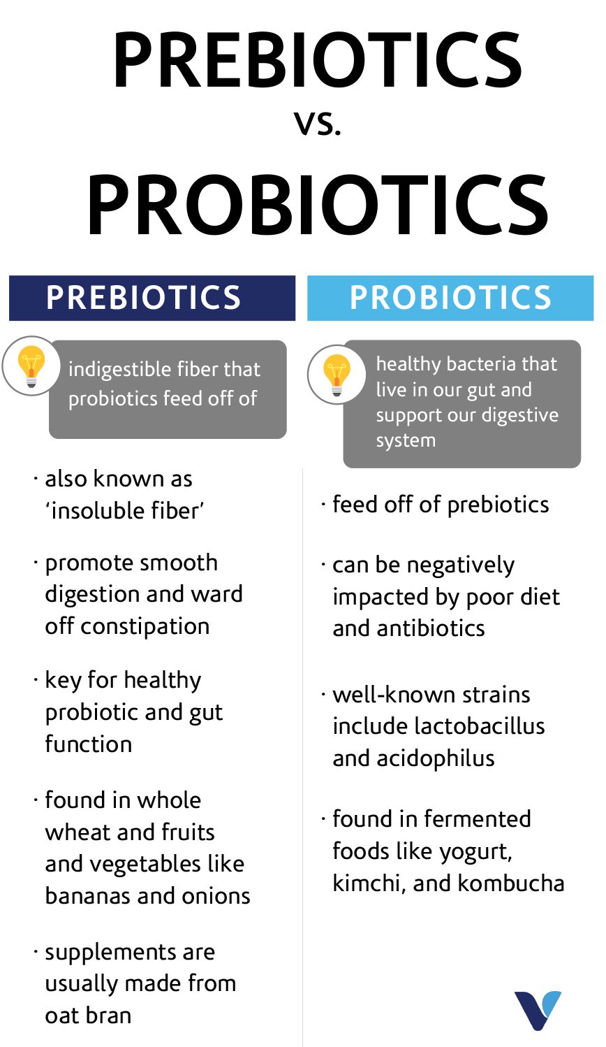 prebiotic-vs-probiotic.jpg