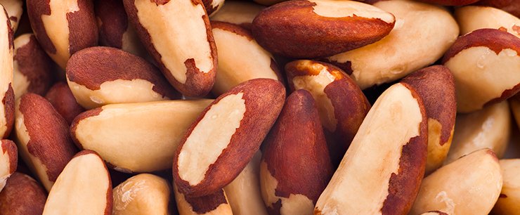 brazil-nuts.jpg