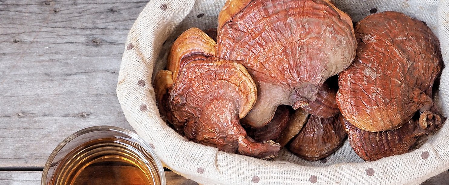 reishi.jpg