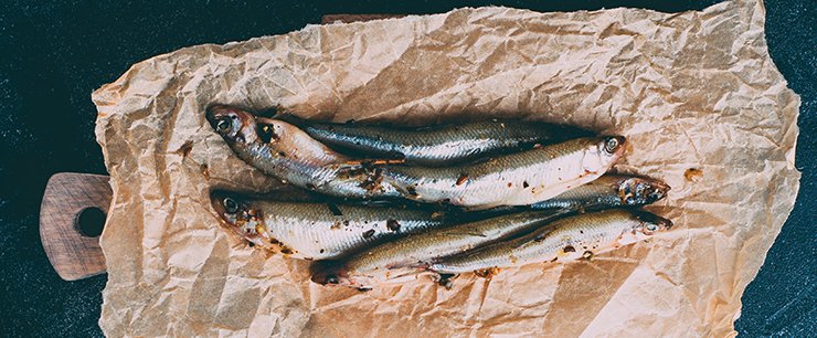sardines.jpg