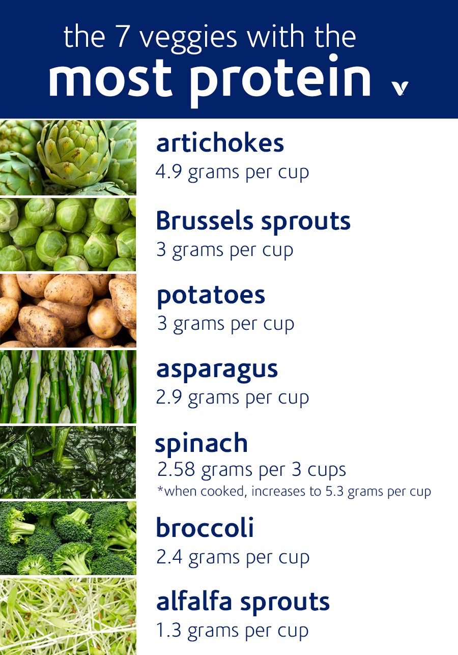 7-Veggies-With-The-Most-Protein-Infographic-revised-1.jpg