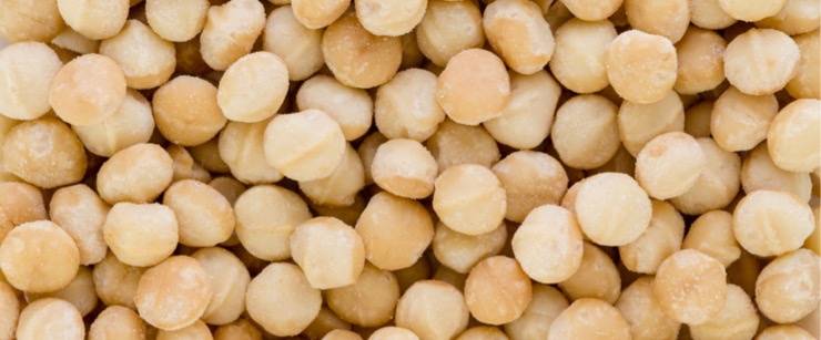 macadamia nuts macadamia nuts