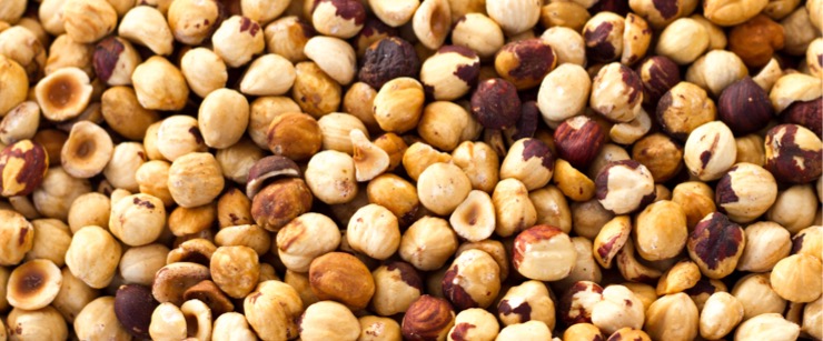 hazelnuts hazelnuts