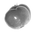 acerolafruit.jpg